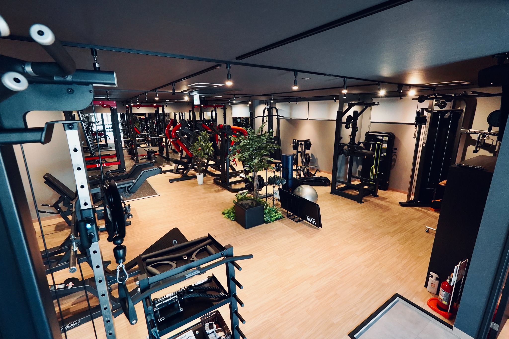 BULUGA GYM 2階フリーウエイトのフロア全景